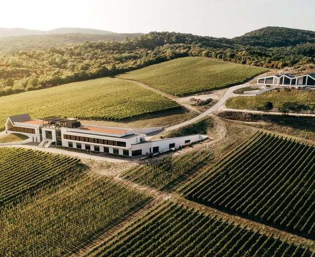Winery and Pension Wineresidence